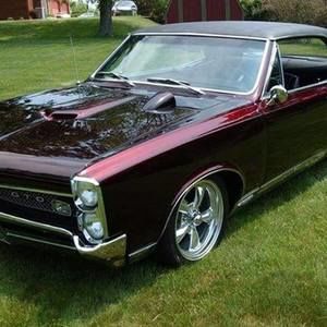 Meet your Posher, Steven